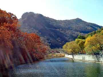 新澳天天开奖资料大全旅游团，锌粉价格